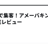 即効で集客！アメーバキング2徹底レビュー